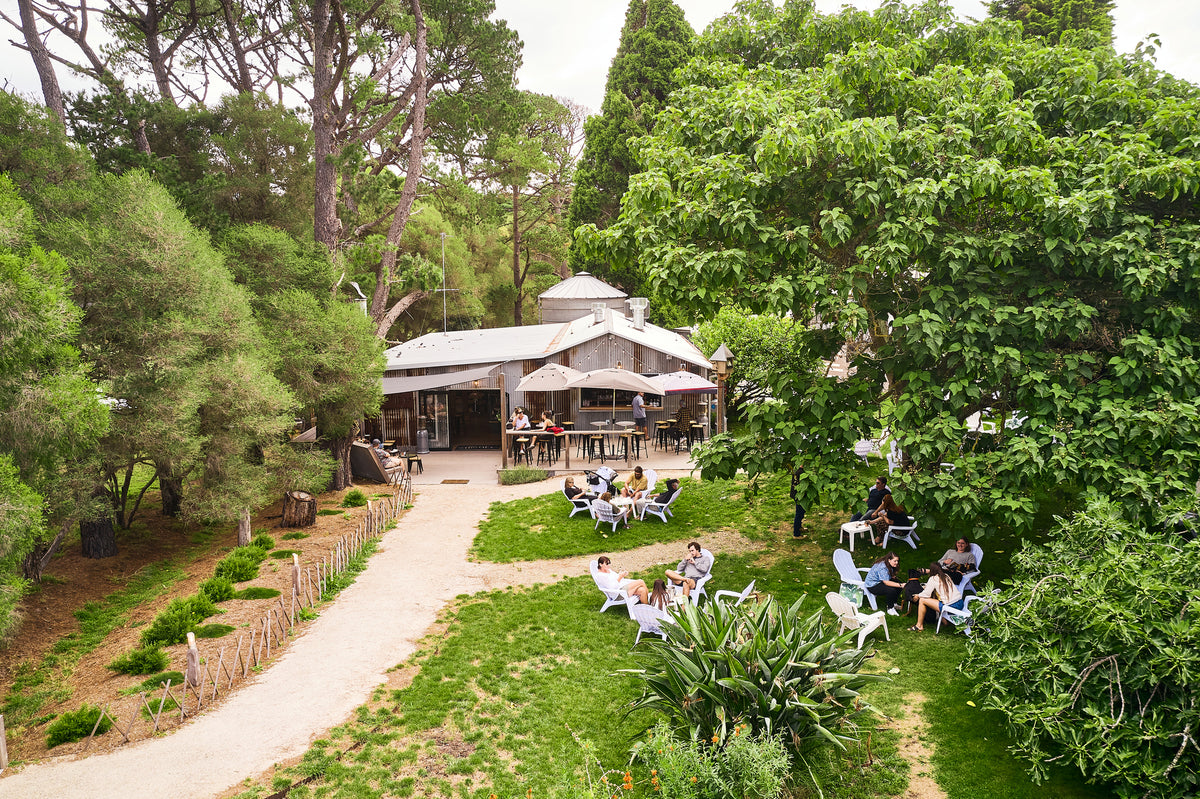 The outdoor seating area of The Whiskery nestled in dense green trees, with the shed cellar door, patio seating, and several people sitting on chairs in the lawn below.